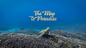 The Map to Paradise