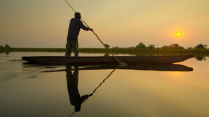 Into the Okavango