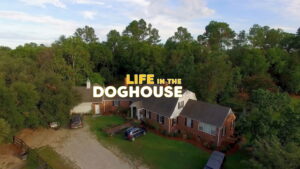Life in the Doghouse