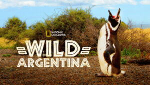 Wild Argentina