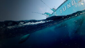 Wicked Tuna: Outer Banks