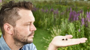 Jimmy’s Big Bee Rescue