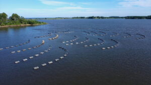 Maryland Farm & Harvest