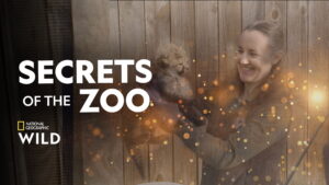 Secrets of the Zoo