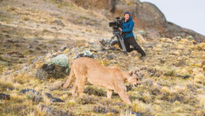 Animals Up Close with Bertie Gregory
