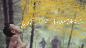 We the Animals
