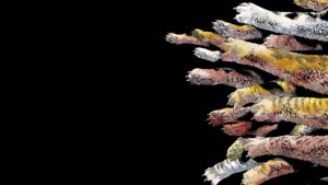 Nyaight of the Living Cat