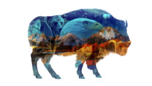 America the Beautiful (2022)