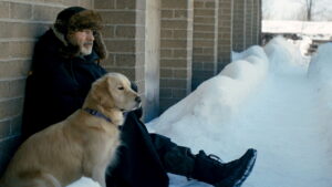 The New Life of Paul Sneijder