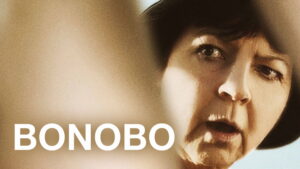 Bonobo