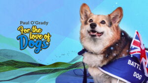 For the Love of Dogs with Alison Hammond