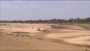 Lions of Crocodile River