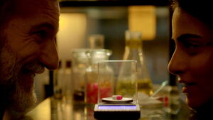 Saas, Bahu Aur Flamingo