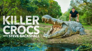 Killer Crocs with Steve Backshall