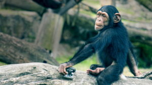 Secrets of the Zoo: Down Under