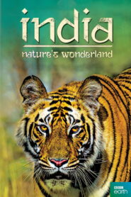 India: Nature’s Wonderland