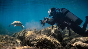 Mediterranean: Life Under Siege