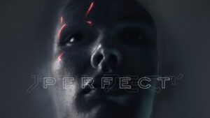 Perfect