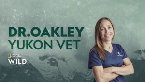 Dr. Oakley, Yukon Vet