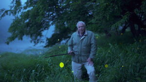 Attenborough’s Life That Glows