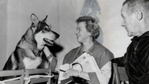 The Littlest Hobo (1963)