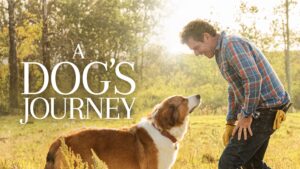 A Dog’s Journey
