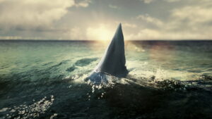 When Sharks Attack 360