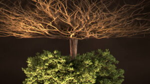 Secret Life Underground