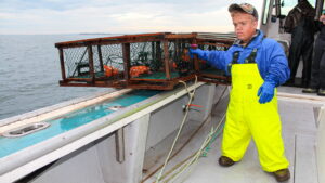 Incredibly Small World