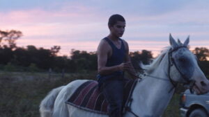 Songs My Brothers Taught Me