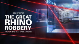 The Great Rhino Robbery