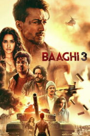 Baaghi 3