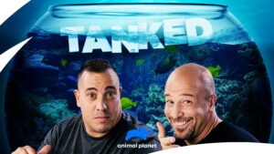 Tanked