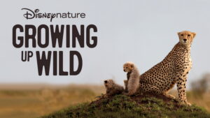 Growing Up Wild