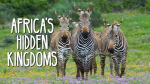 Africa’s Hidden Kingdoms
