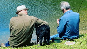 Mortimer & Whitehouse: Gone Fishing