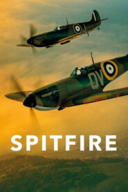Spitfire