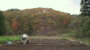 Little Forest: Winter/Spring