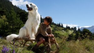 Belle and Sebastian: The Adventure Continues