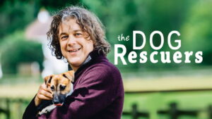 The Dog Rescuers