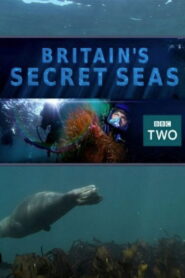 Britain’s Secret Seas