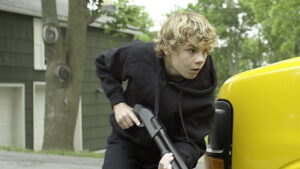 The Aggression Scale