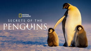 Secrets of the Penguins
