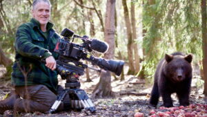 Grizzly Bear Cubs and Me