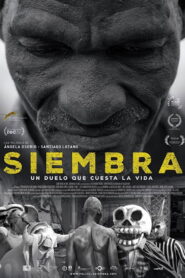 Siembra