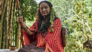 Luz: The Light of the Heart