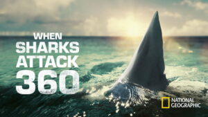 When Sharks Attack 360