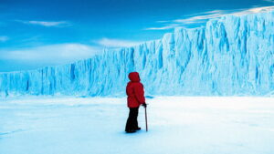 Antarctica: A Year on Ice