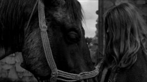 The Turin Horse