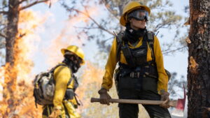 Those Who Wish Me Dead